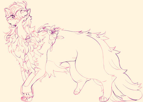 clean sketch